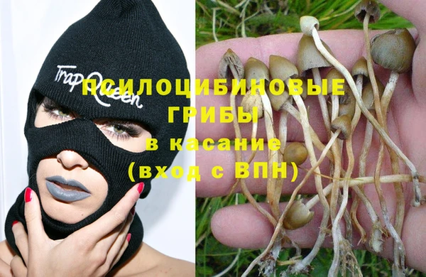 ALPHA PVP Вяземский