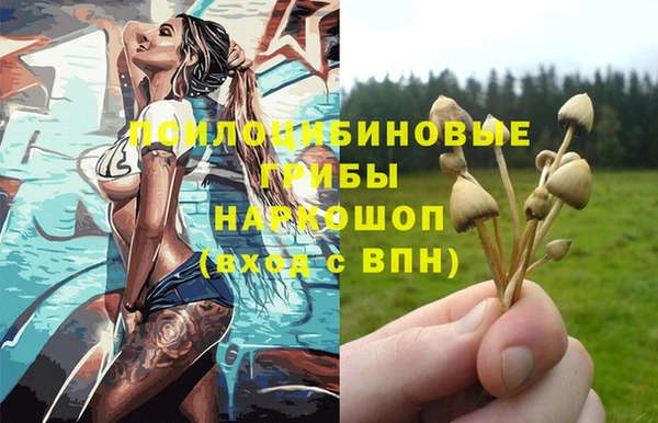 mdpv Володарск