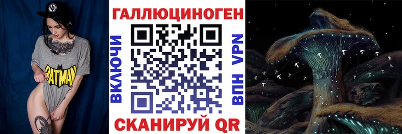 Псилоцибиновые грибы мицелий  omg онион  Пучеж  купить закладку 